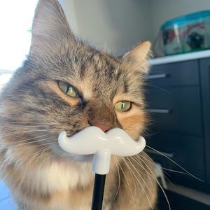 Meet your Posher, Kathy